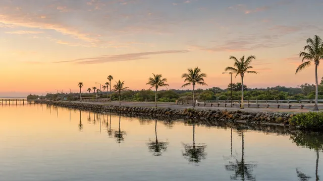 Sunrise over the Indian River Lagoon, palms along the causeway.