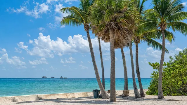 Palms over the turquoise water at Cape Florida, Key Biscayne.
