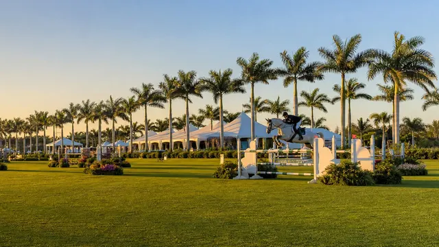 Show jumping on a palm-lined equestrian field at golden hour.