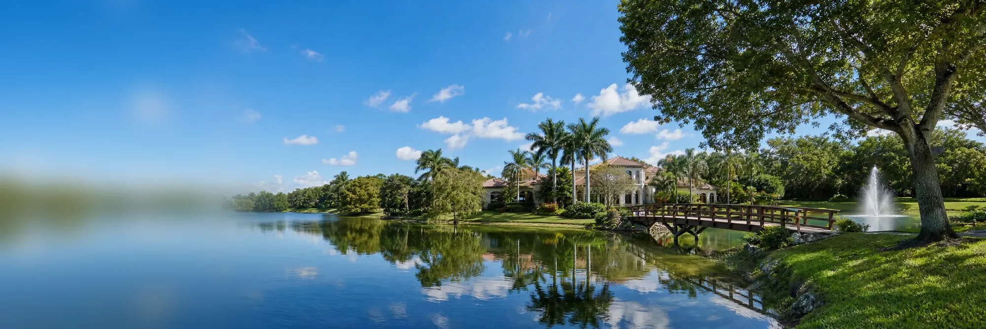 A lake among palms and family homes on a bright morning.