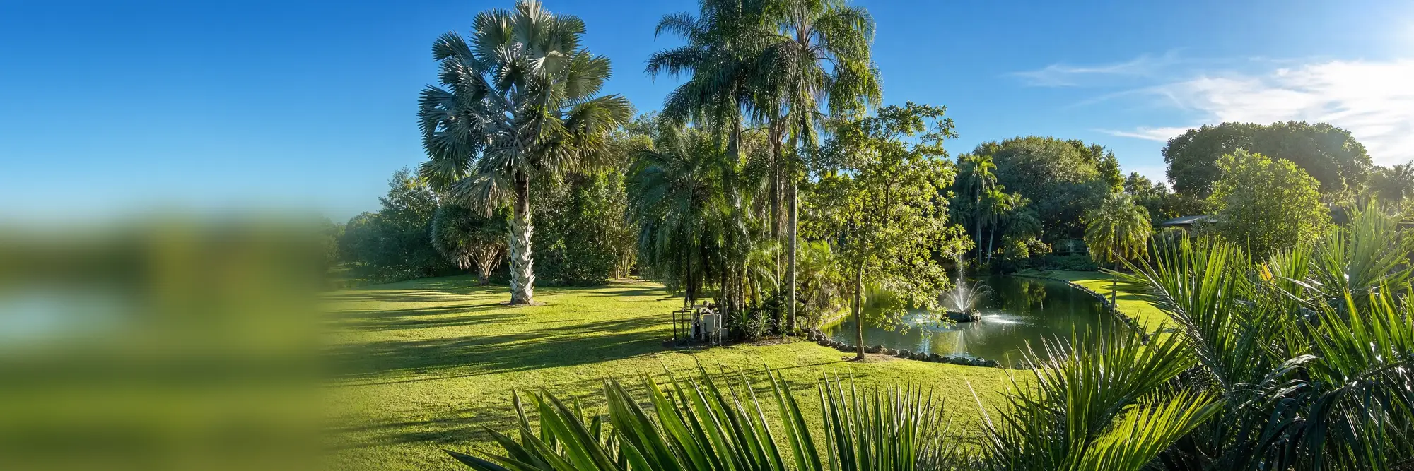 The gardens at Pinecrest in the morning light.