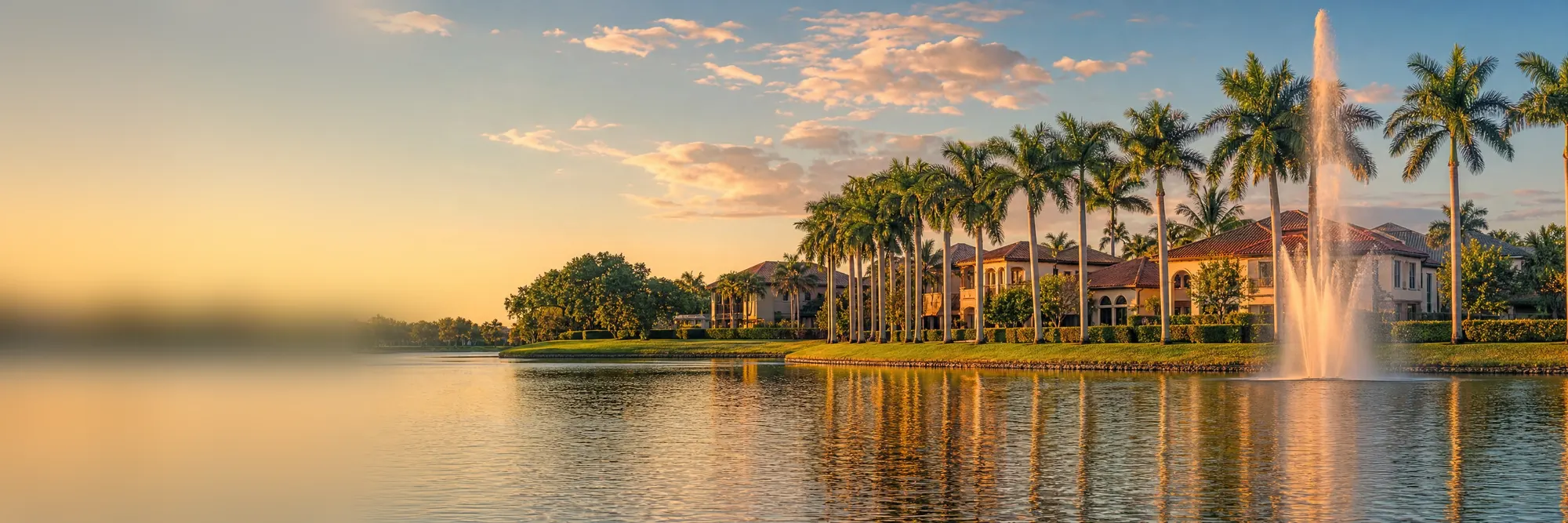 A fountain on a palm-lined lake at golden hour.