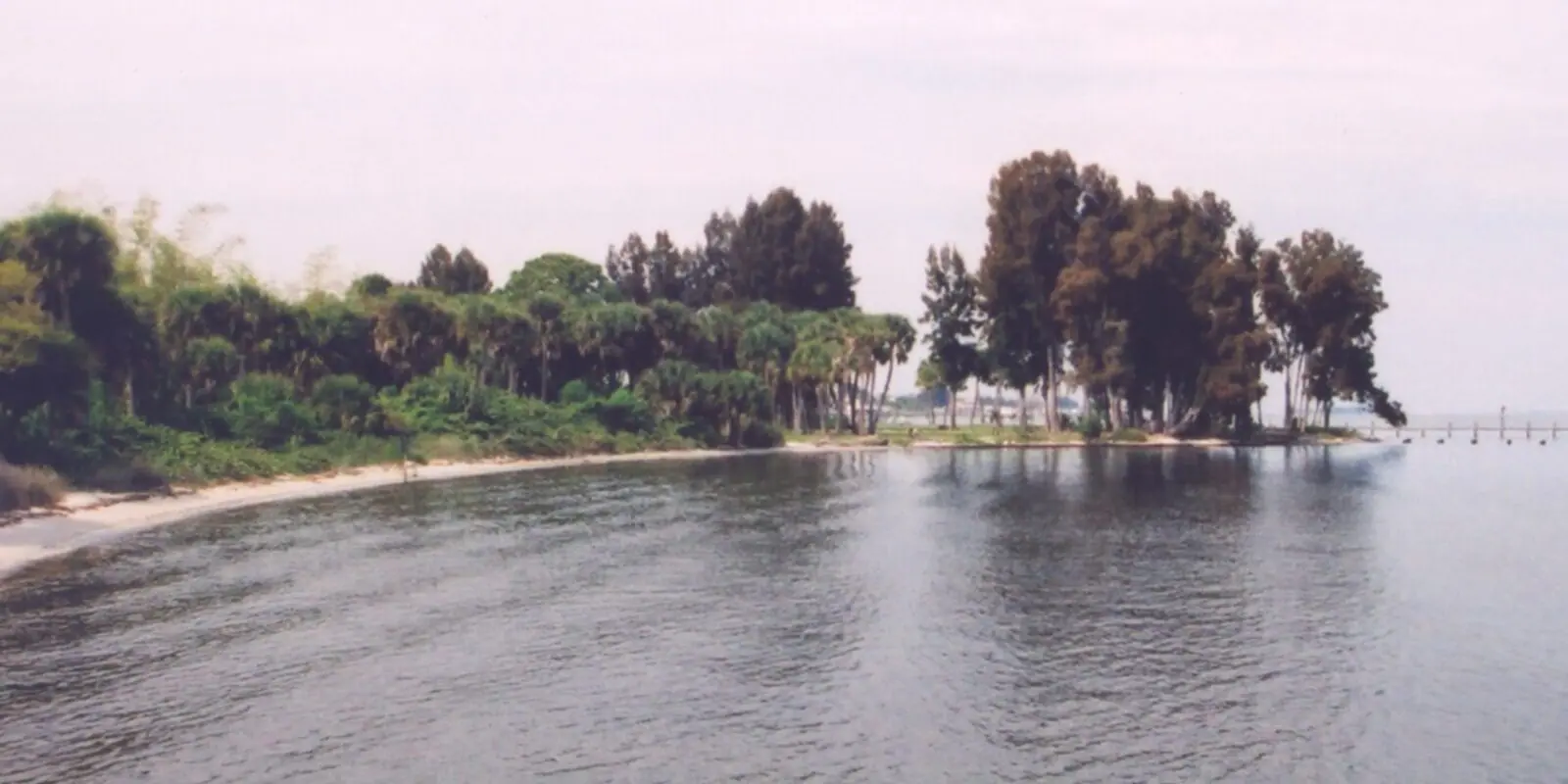 The quiet shore of the Indian River Lagoon.