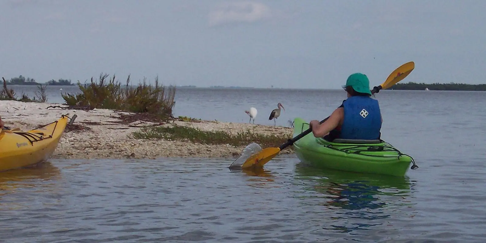 Kayakers on the Indian River Lagoon.