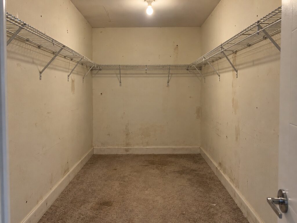 Walk-In Closet Built-Ins — before