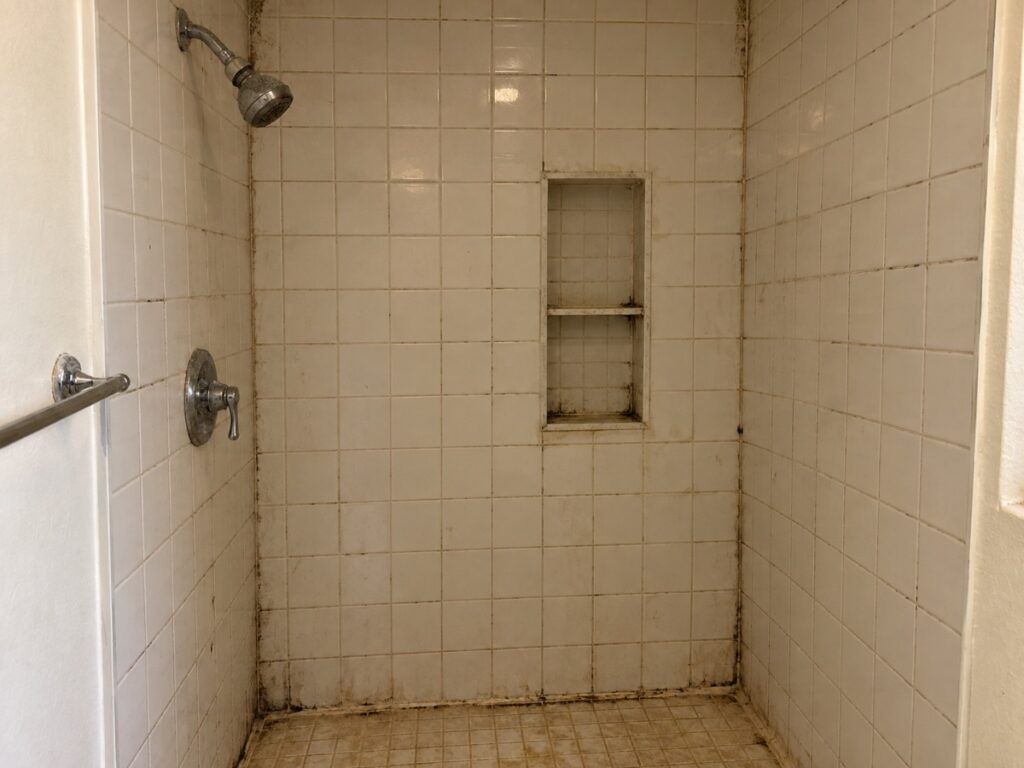 Shower Retile — before