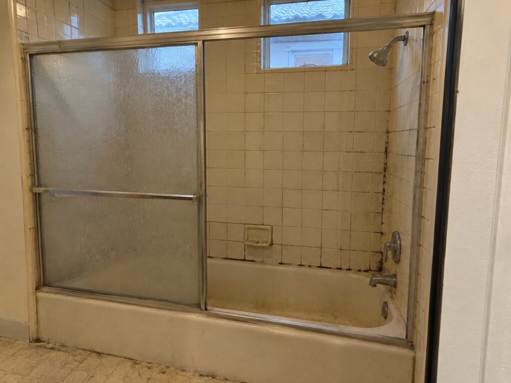 Walk-In Glass Shower — before