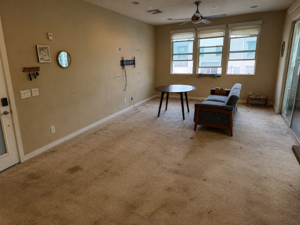 Living Room Flooring & Slat Wall — before